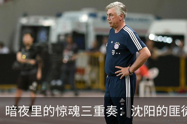 暗夜里的惊魂三重奏：沈阳的匪徒传奇