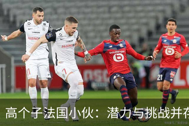 高个子法国小伙：潜力与挑战并存的篮球故事